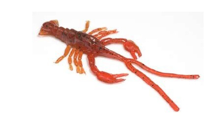 Hybrids Conrad Crawfish 3"