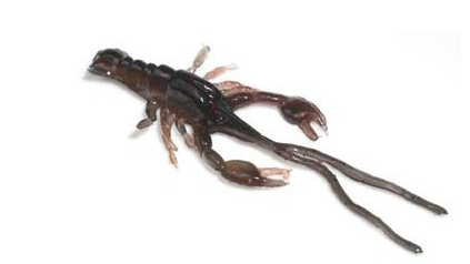 Hybrids Condor Crawfish 5"