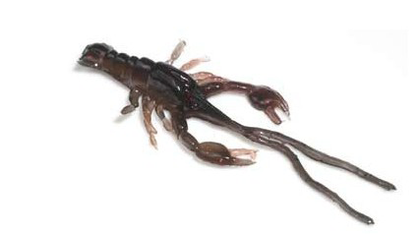 Hybrids Condor Crawfish 5"
