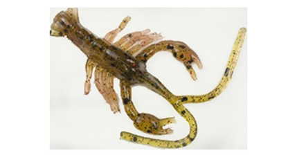 Hybrids Condor Crawfish 5"