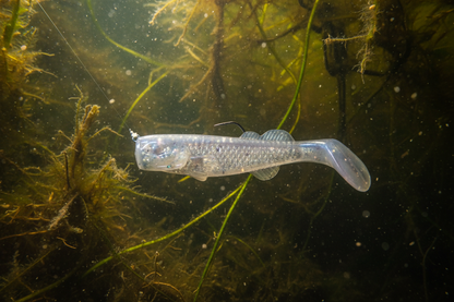 Hybrids Flurry Minnow 4" Swimbait
