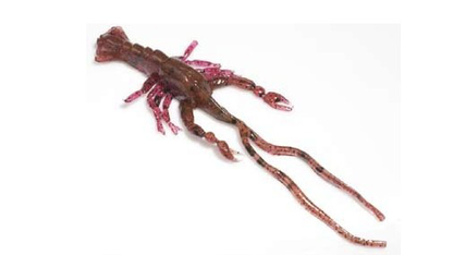 Hybrids Conrad Crawfish 3"