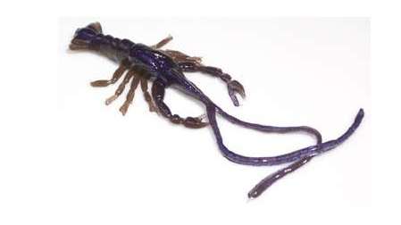 Hybrids Conrad Crawfish 3"