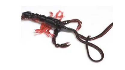 Hybrids Condor Crawfish 5"