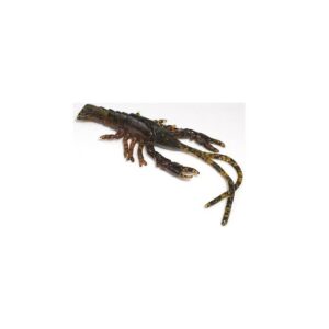 Crawdad Candy 5" 7ct.